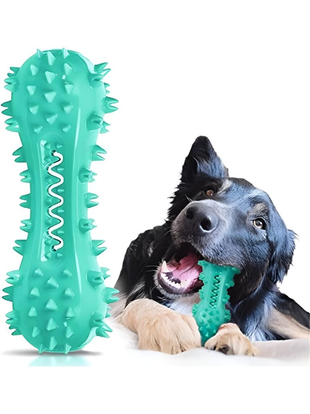 Toothbrush Dog Chew Toy, Stick Bone for Dog Teeth Cleaning, Tooth Brushing - F2